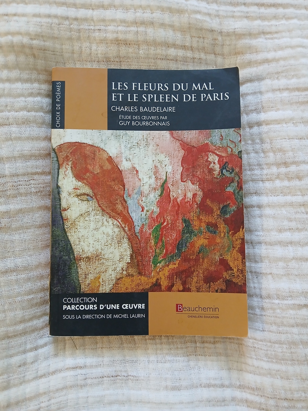 (2/15$)Les Fleurs du Mal et Le Spleen de Paris Charles BAUDELAIRE FRENCH EDITION